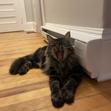 Entry image for Wesley 