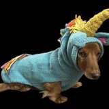 Entry image for Charly