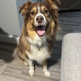 Entry image for Chloe