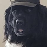 Entry image for Brew