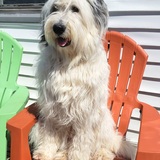 Entry image for Bowie 