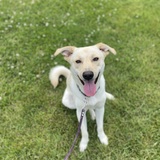 Entry image for Ben Joe