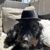 Entry image for Zero