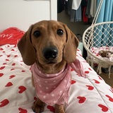 Entry image for Winne 