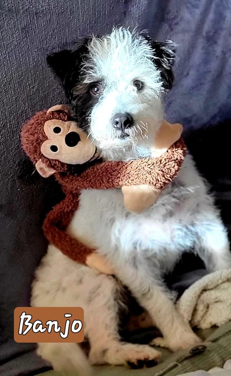 Entry image for Banjo. Clicking this image will show a larger photo