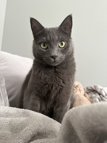 Entry image for Blake. Clicking this image will show a larger photo