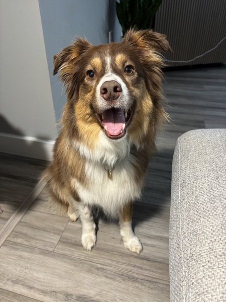 Entry image for Chloe. Clicking this image will show a larger photo