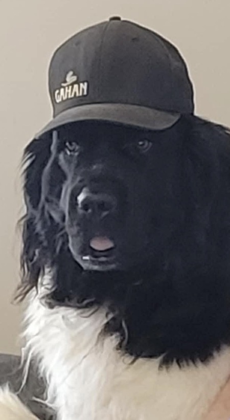 Entry image for Brew. Clicking this image will show a larger photo