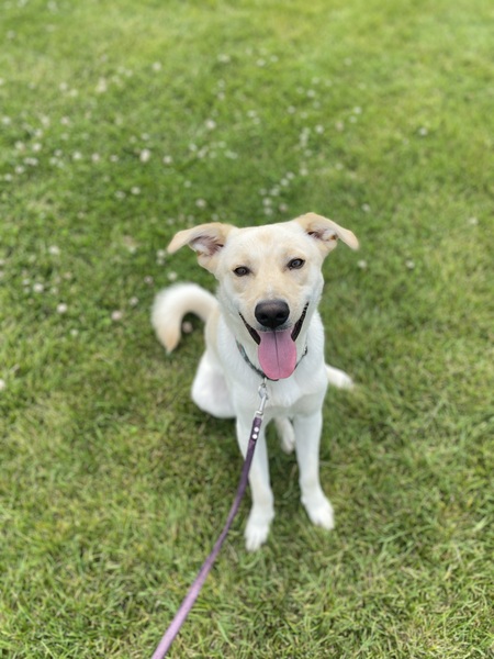 Entry image for Ben Joe. Clicking this image will show a larger photo