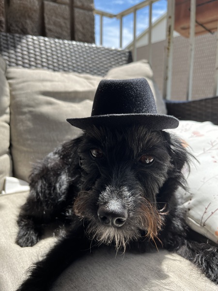 Entry image for Zero. Clicking this image will show a larger photo