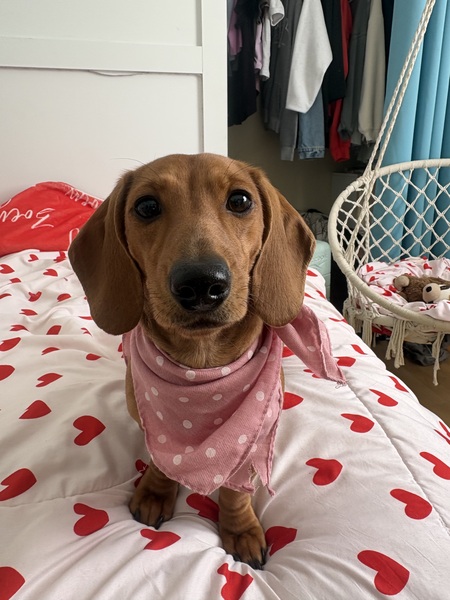 Entry image for Winne . Clicking this image will show a larger photo