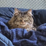 Entry image for Similkameen