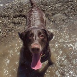 Entry image for Skyla