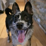 Entry image for Cooper 