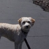 Entry image for Tucker Obermajer 