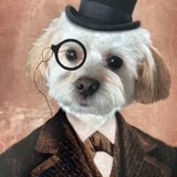 Entry image for Yogi