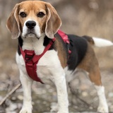 Entry image for Stanley