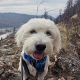 Entry image for Eddie