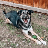 Entry image for Leonard