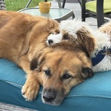 Entry image for Esker and Matise