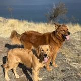 Entry image for Lily & Cora