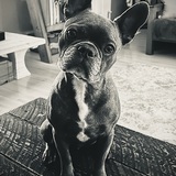 Entry image for Loki