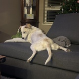 Entry image for Rita