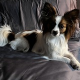 Entry image for Raya