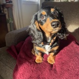 Entry image for Tony 