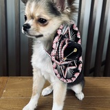 Entry image for Don Carlos