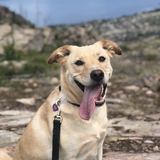 Entry image for Murphy