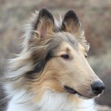 Entry image for Murphy