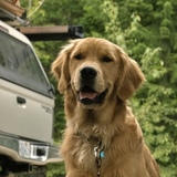 Entry image for Garth Barks