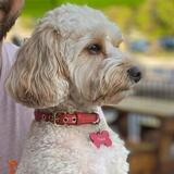 Entry image for Theo