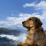 Entry image for Bailey