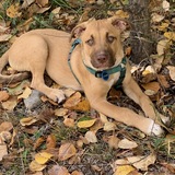 Entry image for Oakley 