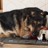 Entry image for Kitty kat 