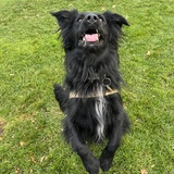 Entry image for Hakuna