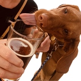 Entry image for Pearl