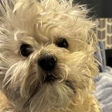 Entry image for Marvel 