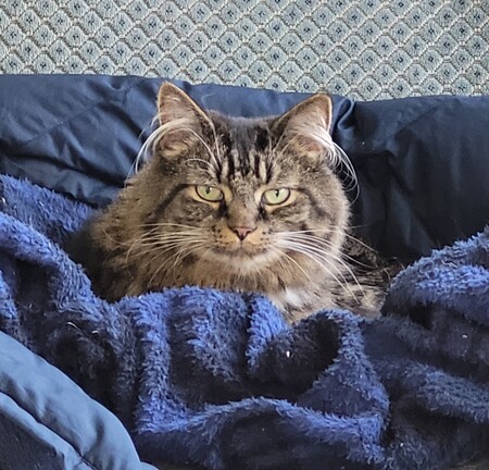 Entry image for Similkameen. Clicking this image will show a larger photo