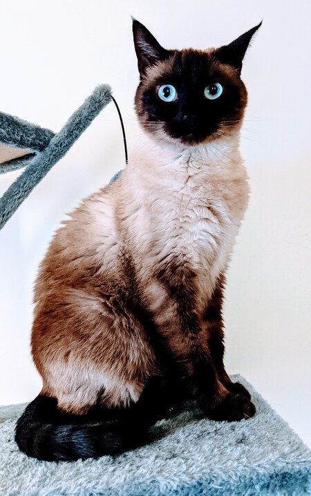 Entry image for Béibhinn. Clicking this image will show a larger photo