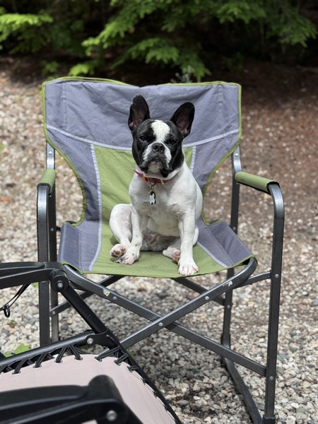 Entry image for Charlee. Clicking this image will show a larger photo