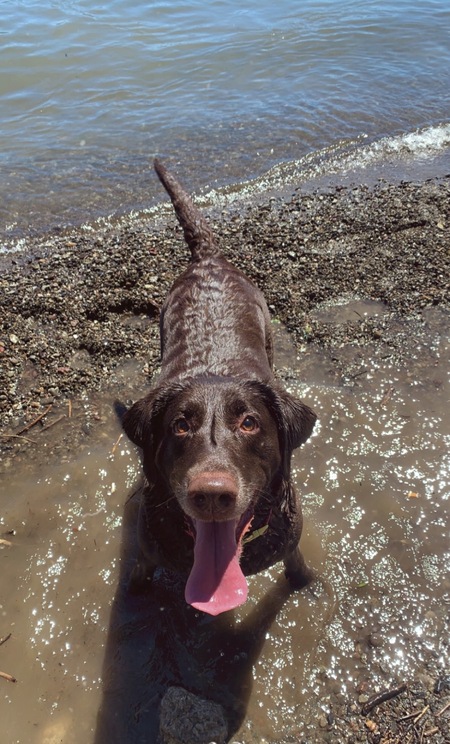 Entry image for Skyla. Clicking this image will show a larger photo