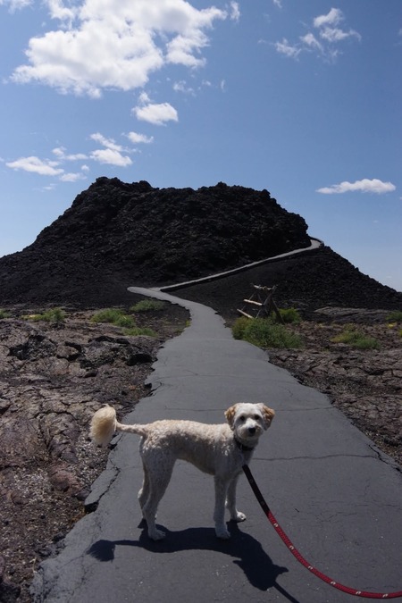 Entry image for Tucker Obermajer . Clicking this image will show a larger photo