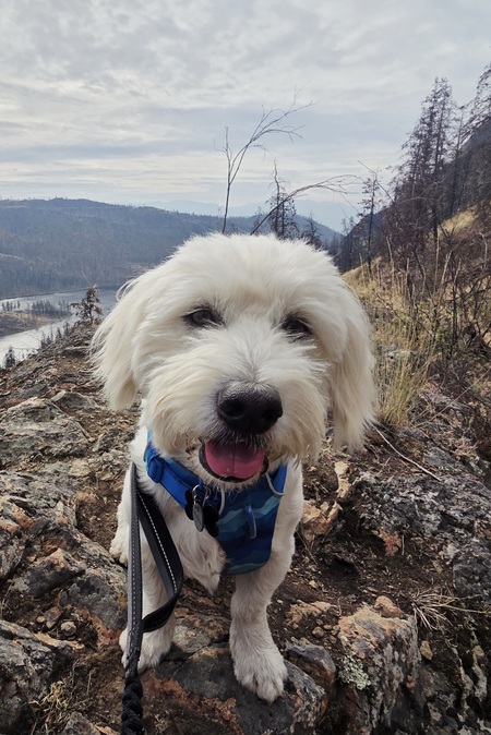 Entry image for Eddie. Clicking this image will show a larger photo