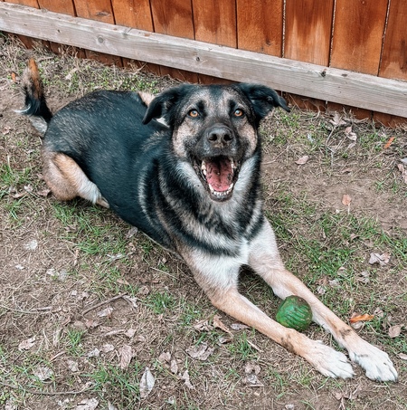 Entry image for Leonard. Clicking this image will show a larger photo