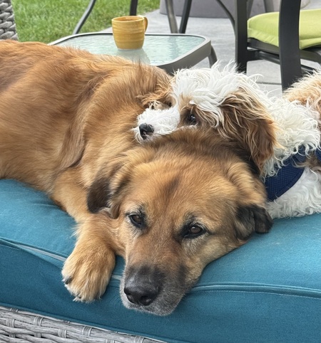 Entry image for Esker and Matise. Clicking this image will show a larger photo