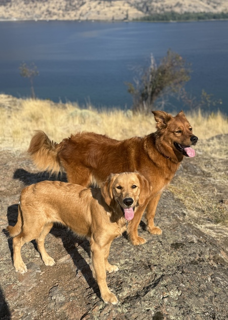 Entry image for Lily & Cora. Clicking this image will show a larger photo