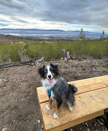 Entry image for Noelle. Clicking this image will show a larger photo